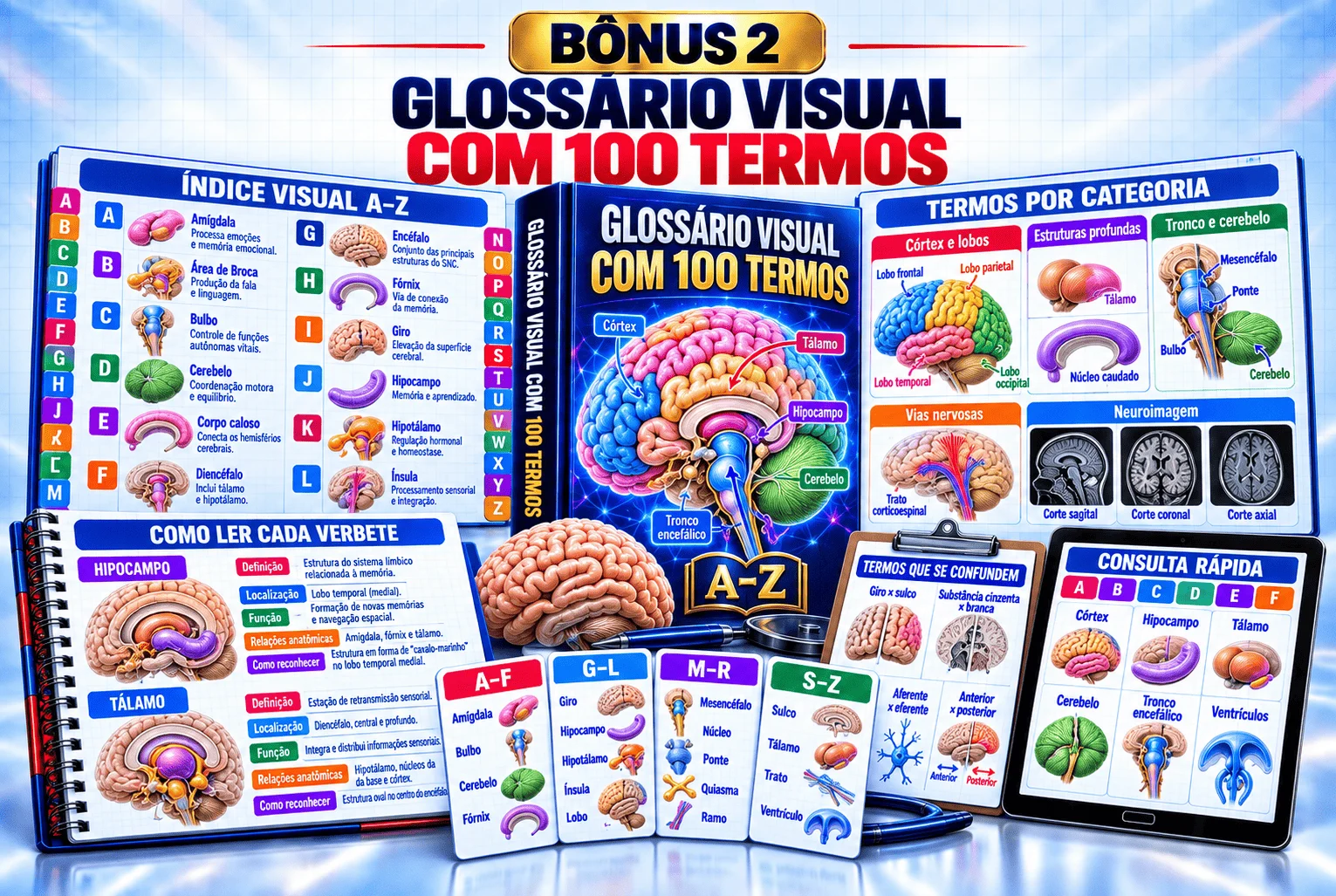 Glossário Visual com 100 Termos de Neuroanatomia