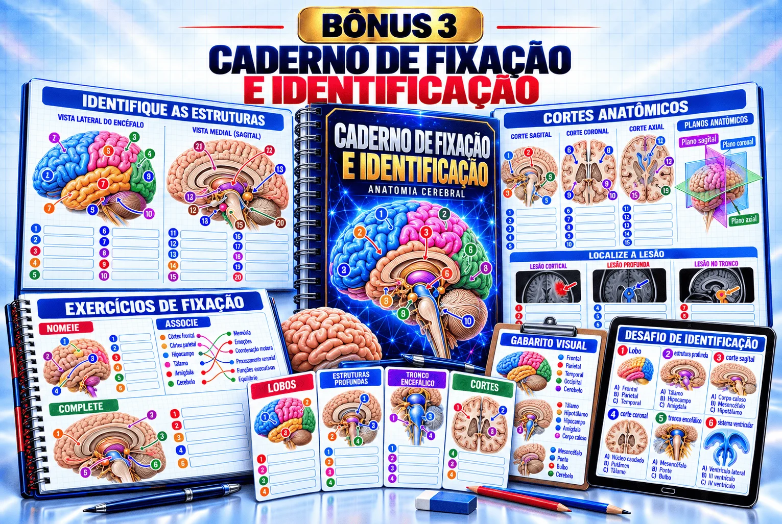 Caderno de Fixação e Identificação de Estruturas
