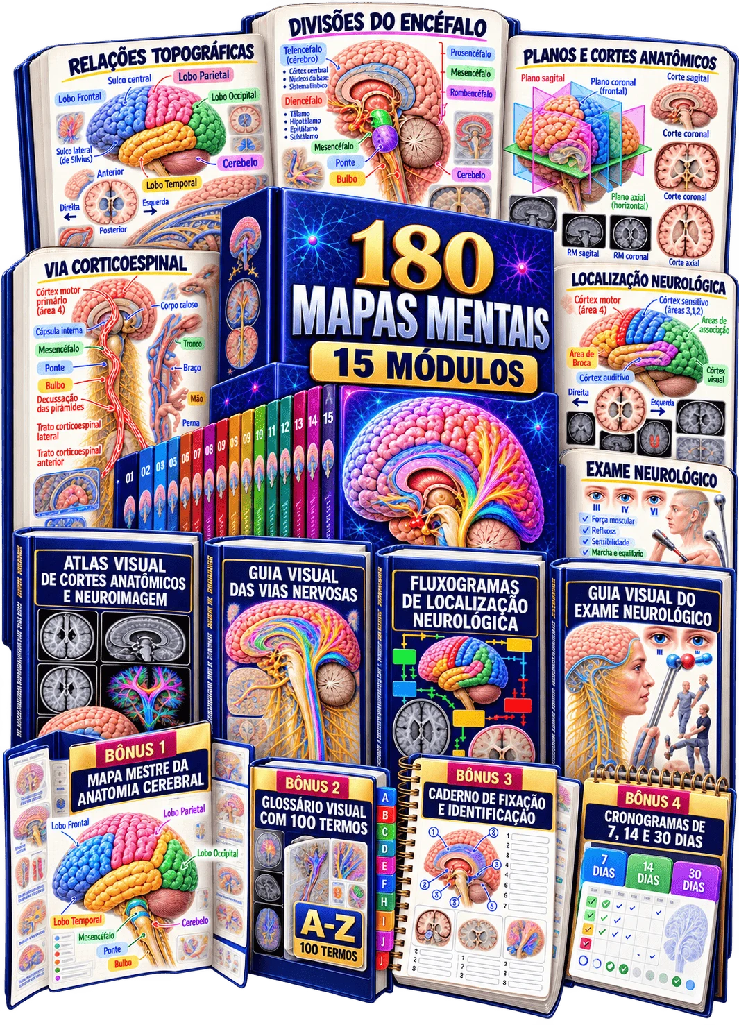 Tudo que você recebe — Kit 180 Mapas Mentais de Anatomia Cerebral